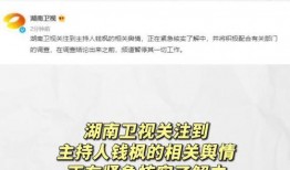 娱乐718吃瓜网网址,揭秘娱乐圈最新热点，带你畅游八卦世界